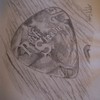 Rock_steady_thumb