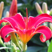 Img_9538_card