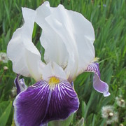 Img_5702_card