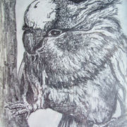 Parrot__drawing_on_paper-28cmx20cm__card