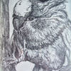 Parrot__drawing_on_paper-28cmx20cm__thumb