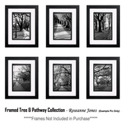 Framed-collectiontree_pathway_card