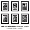 Framed-collectiontree_pathway_thumb