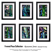 Framed-paua-collection_card