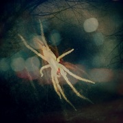 Photo_copy_22_card
