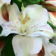Photo_copy_3_card
