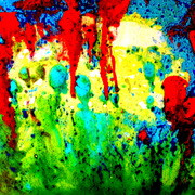 P6268325_card