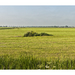 Polder_5151_2_square