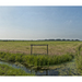 Polder_5171_square