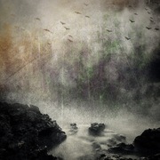 Photo_card