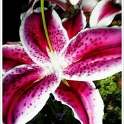 Photo-31_card