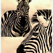 Photo-25_card