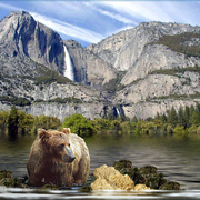 859-natural_environment_card
