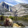 859-natural_environment_thumb