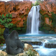 821-exhilarated_viewer_card
