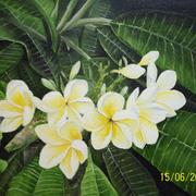116_0629_card