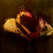 Aaaa23445678_card