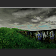 Barking_riverside_v4c_card