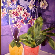 P1011262_card