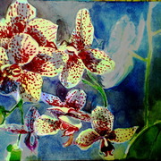 P1011241_01_card