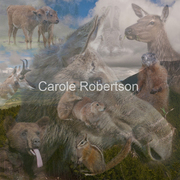 Neighborsofthemidwestbycarolerobertson_card