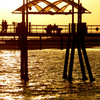 100_6917_thumb