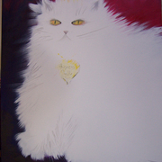 Princessholly_card