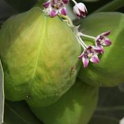 Img_5794__medium__card