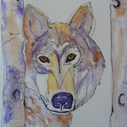 Sam_0040_card