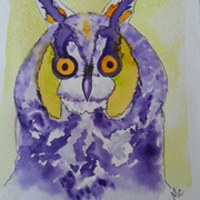 Sam_0044_card