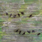 Little_composers_card