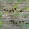 Little_composers_thumb