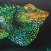 Lizard_thumb
