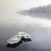 Img_0173x_card