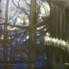 Lotr_lothlorien_original_painting_thumb