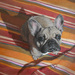 Obraz_004_square
