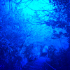 Schlangenpfad_oben_blau_250_s_thumb