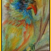 Perroc__298x400__card