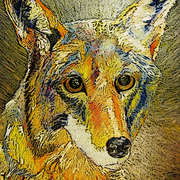 Calico_card