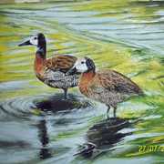 116_1512_card