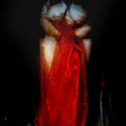 The_crypt__long_cropped__11h72_rgb__card
