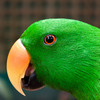 293_thumb