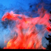 Img_6233_card