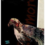 Raven_2_card