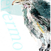 Raven_4_card