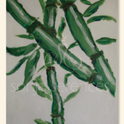 Bamboo01_card