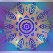 Hidden_lights_card