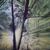 100_0446_tiny_square