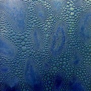 Diffusion-map_no1-537x600_card