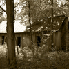 2790_sepia_thumb